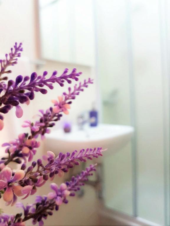 Room Ivana With Private Bathroom - Center Of Split Exterior foto